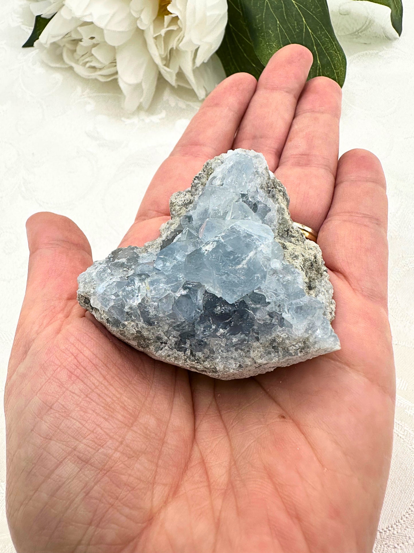 Cluster di Celestite (grande)